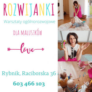 Rozwijanki Skrzydlaty Domek Rybnik